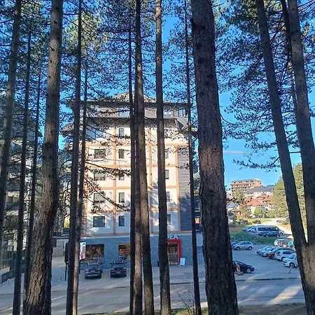 3bears Zlatibor